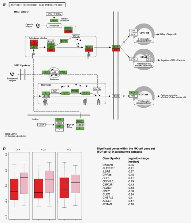 【佳学基因检测】CLK3遗传测试出突变怎么办？